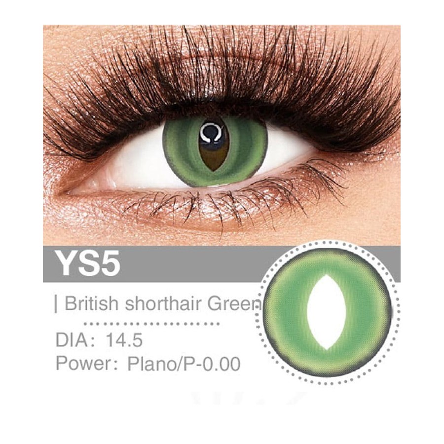 Lenti Cosplay British Shorthair Green 14.5 MM - Pidak Shop