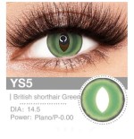 Lenti Cosplay British Shorthair Green 14.5 MM - Pidak Shop